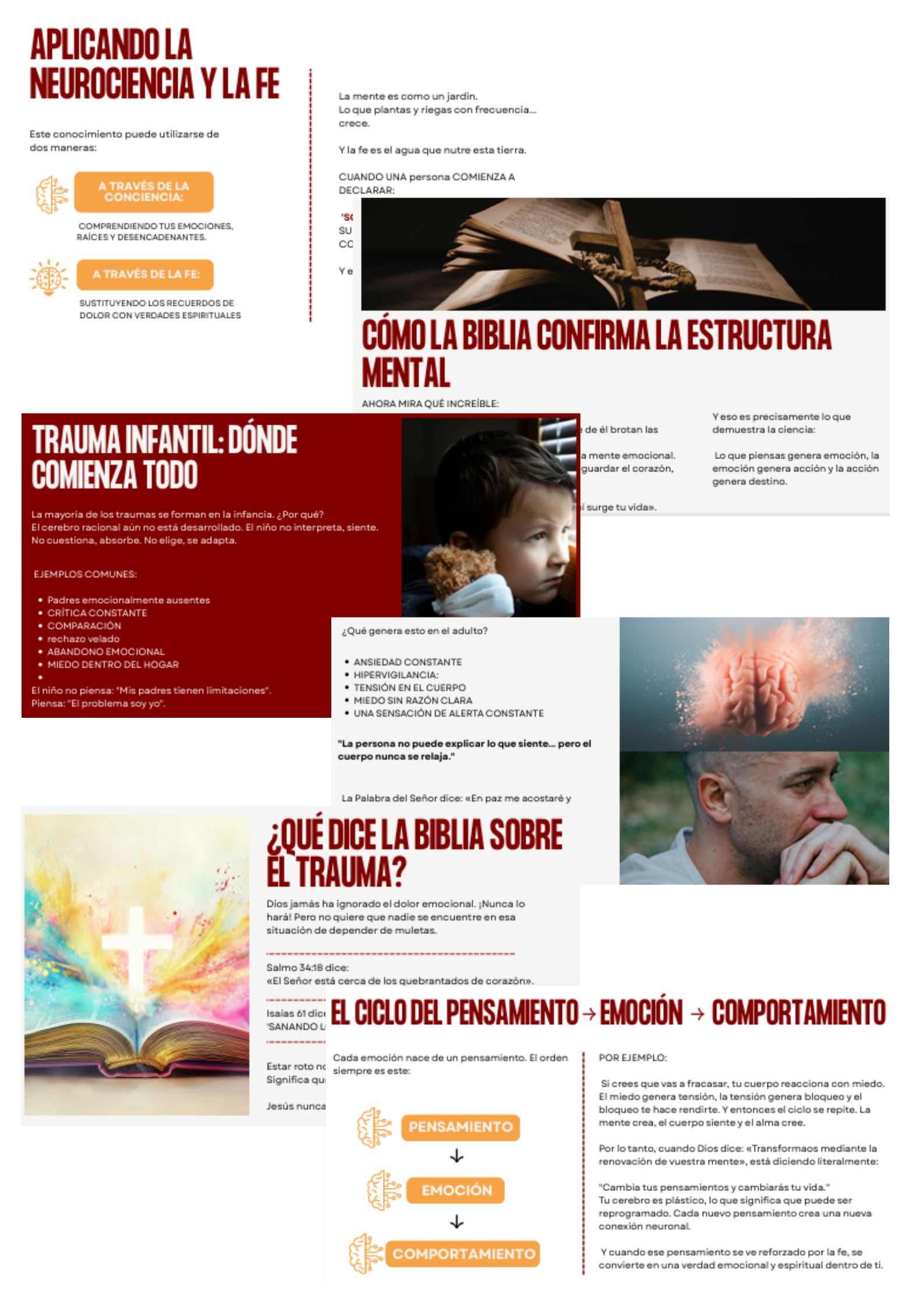 Contenido del Método NeuroFe™